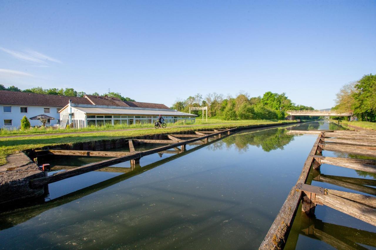 Hotel Ecluse 34 - Soirées Etapes assurées du lundi au jeudi Steinbourg Esterno foto